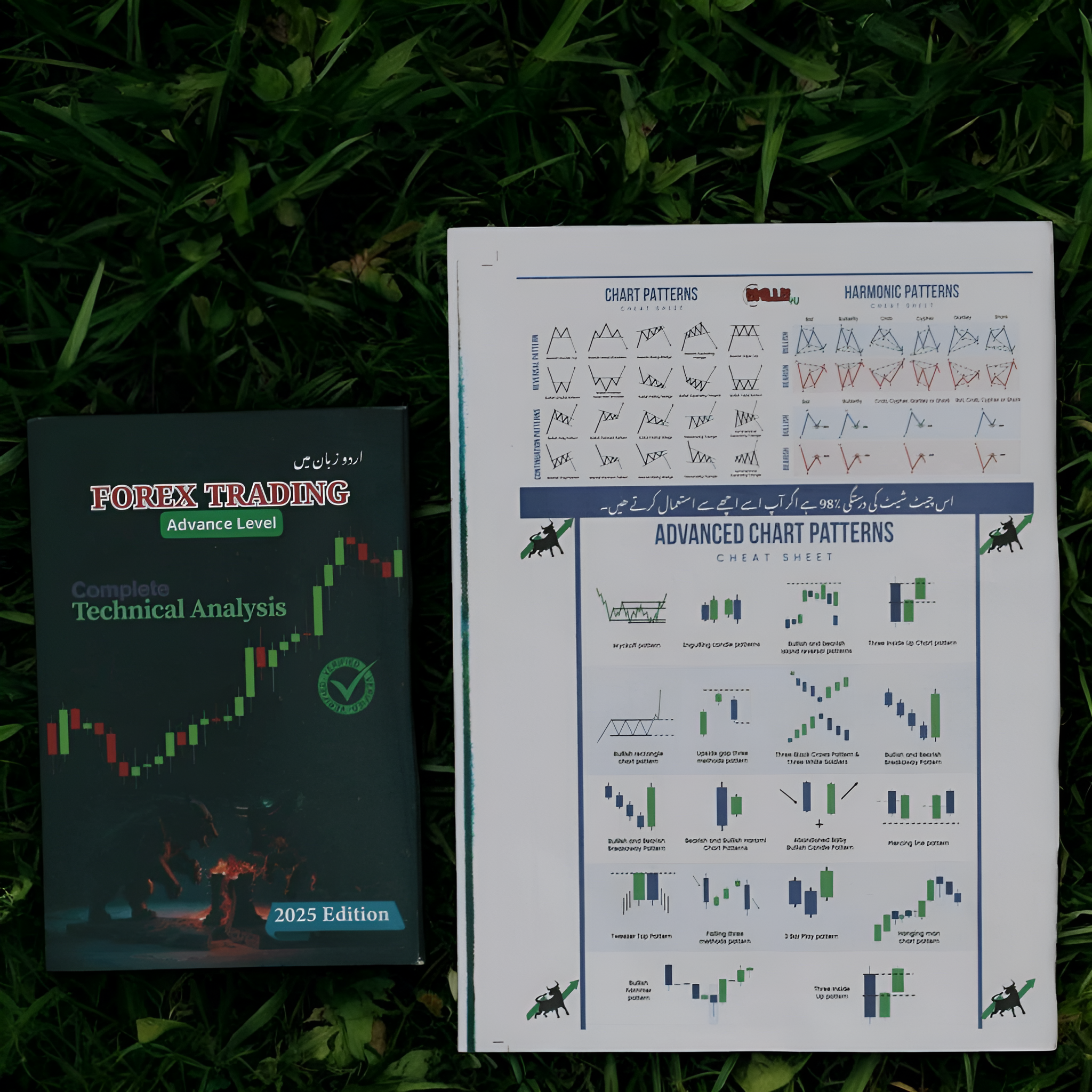 Forex Trading Books With Complete Technical Analysis (Urdu) 2025 Edition