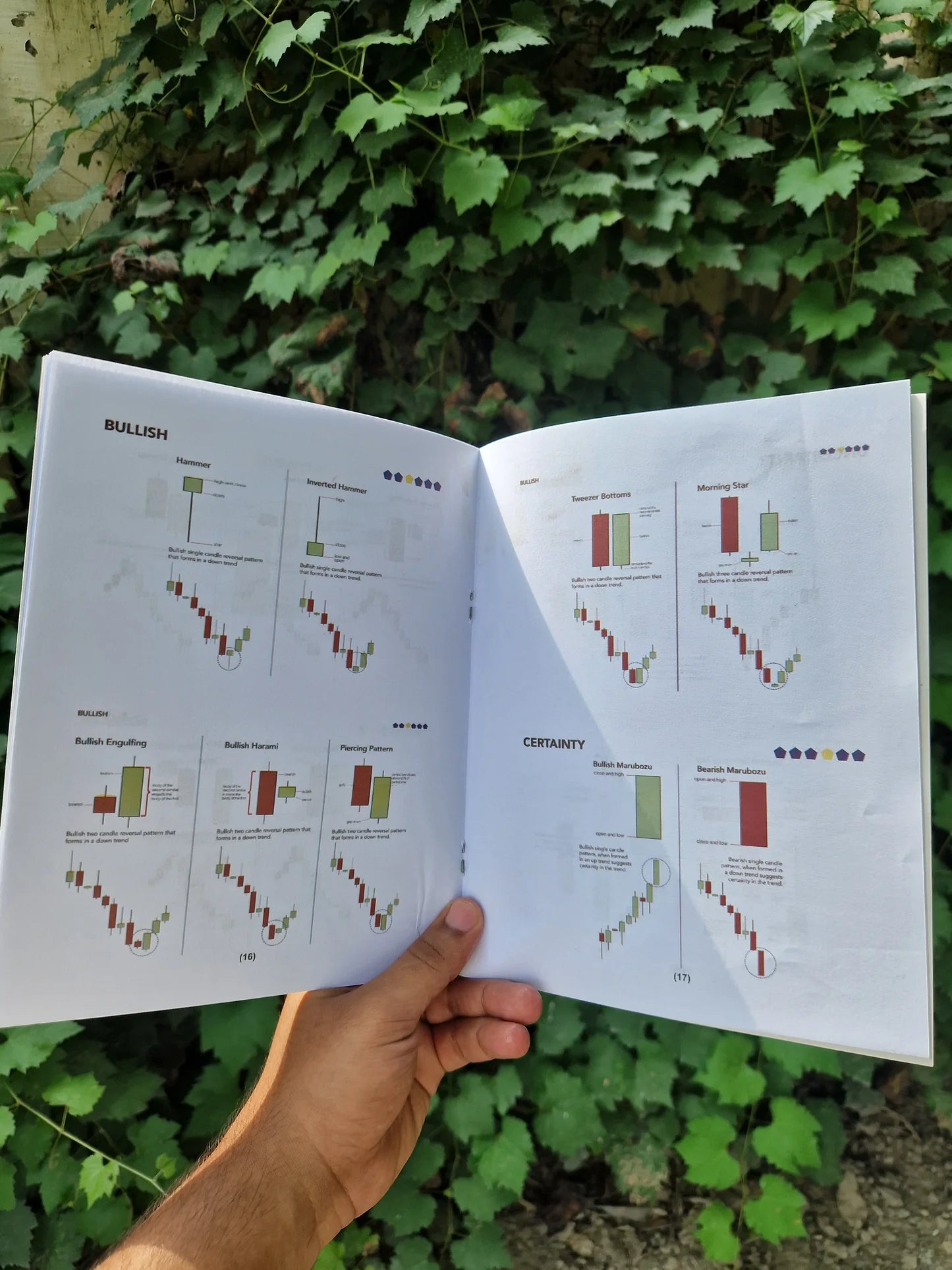 📘 Profitable Book for Binary Option Trading (Urdu Edition)
